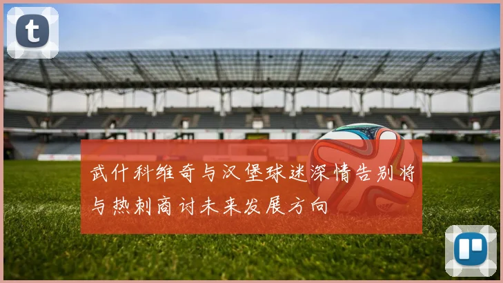 武什科维奇与汉堡球迷深情告别将与热刺商讨未来发展方向